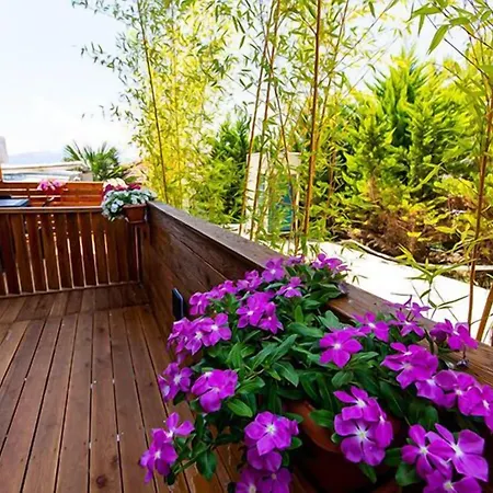 Hotell Apollon (adults Only) Sarandë