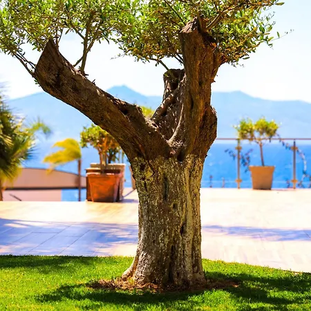 Hotell Apollon (adults Only)