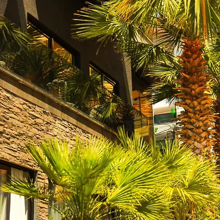 Apollon (adults Only) Saranda