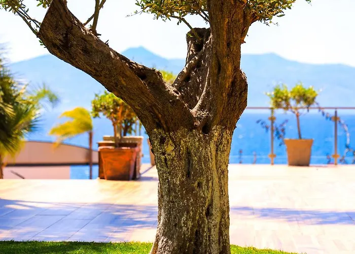 Hotell Apollon (adults Only)